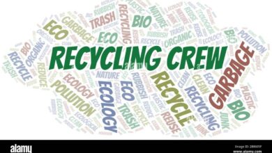 only sales extension